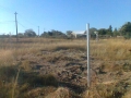 IMG-20150616-WA0005